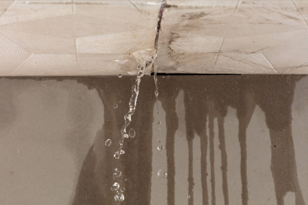 Professional Water Damage Inspection technician working in Edmonson, TX